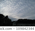 傍晚時分，天空中佈滿了鱗片雲 109842344