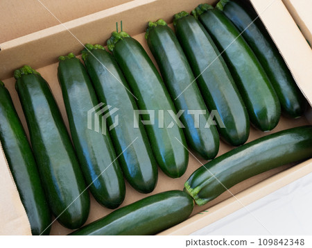 Harvested zucchini 109842348