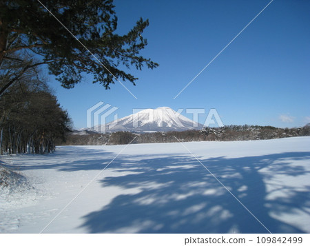 Mt. Iwate seen from a snow-covered farm on a clear winter day 109842499