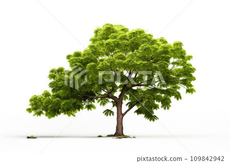 Green maple tree isolated on white background for landscape and architecture design. Generative AI 109842942