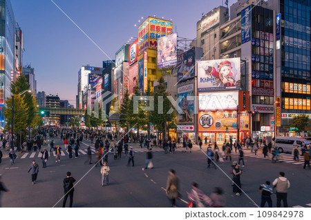 《東京》秋葉原電器街/步行者天堂夜景 109842978