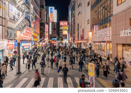 《Tokyo》Night view of Akihabara's electric town/pedestrian paradise 109843001