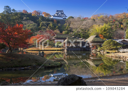Genkyuen, Rinchikaku and Hikone Castle castle tower in autumn leaves Genkyuen, Rinchikaku and Hikone Castle castle tower in autumn leaves 109843284