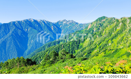 Climbing Mt. Jijigatake in summer (view of Mt. Harinoki and Mt. Renge from Taneike Sanso) 109843662