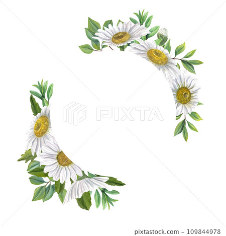 Wreath with white chamomile flowers and green leaves. Meadow plants, flowers. Composition with copy space for text. Watercolor illustration for Valentine cards, birthday, mother day greetings 109844978