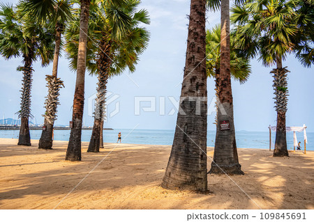 Beachside atmosphere 109845691