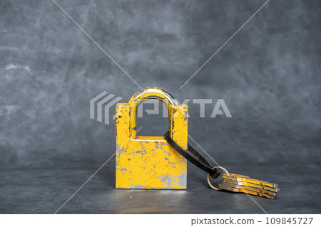 Padlock and keys Padlock and keys 109845727