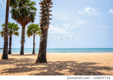 Beachside atmosphere 109845738