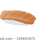 Sushi salmon 109845872