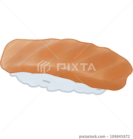 Sushi salmon Sushi salmon 109845872