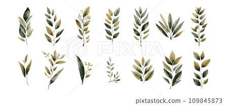 草和植物向量插圖集 109845873