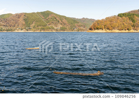 湖浮木 109846256