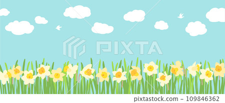 Daffodils-spring idyllic scenery Daffodils-spring idyllic scenery 109846362