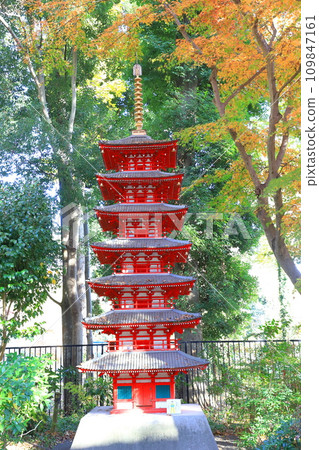 大高道春天花園和武藏國分寺遺址博物館 大高道春天花園和武藏國分寺遺址博物館 109847161
