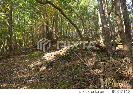 丹波國：明智光秀所建造的金山城周圍的登山道 109847340