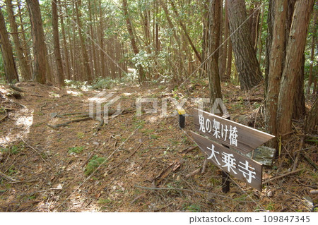 丹波國：明智光秀所建造的金山城周圍的登山道 109847345