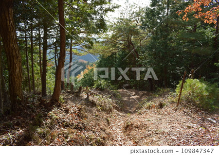 丹波國:明智光秀所建造的金山城周圍的登山道 丹波國:明智光秀所建造的金山城周圍的登山道 109847347