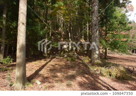丹波國：明智光秀所建造的金山城周圍的登山道 109847350