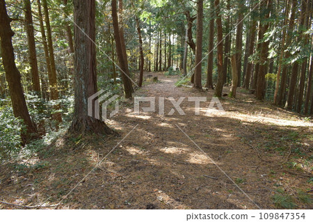 丹波國:明智光秀所建造的金山城周圍的登山道 丹波國:明智光秀所建造的金山城周圍的登山道 109847354