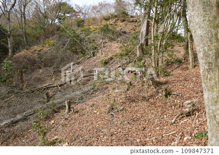 丹波國明智光秀建造的金山城周圍的久留羽地區 丹波國明智光秀建造的金山城周圍的久留羽地區 109847371