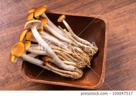 Yanagi Matsutake 109847517