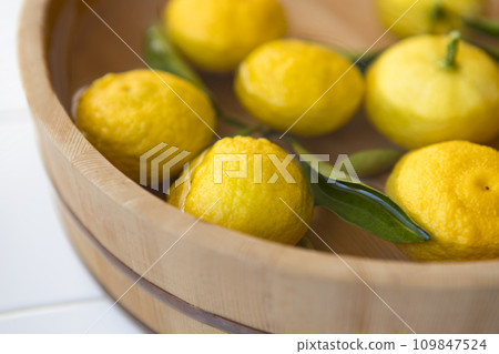 Yuzu in a bucket Yuzu in a bucket 109847524