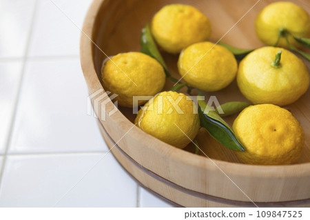 Yuzu in a bucket 109847525