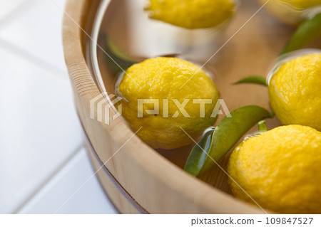 Yuzu in a bucket 109847527
