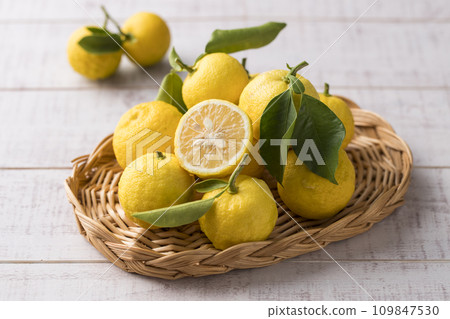 Yuzu in a basket Yuzu in a basket 109847530