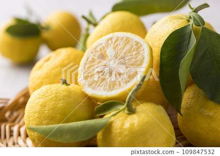 Yuzu in a basket 109847532