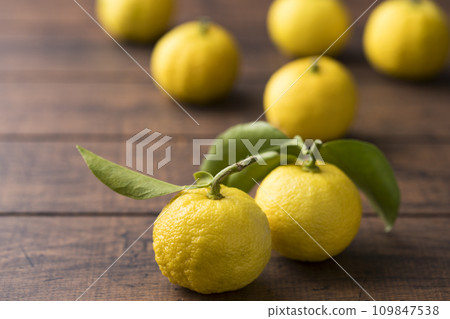 Lots of yuzu 109847538