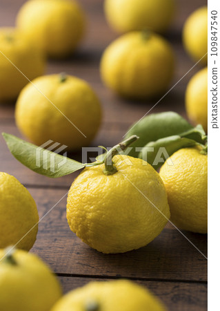 Lots of yuzu 109847540