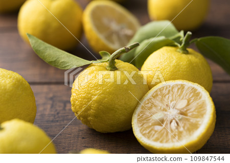 Lots of yuzu 109847544