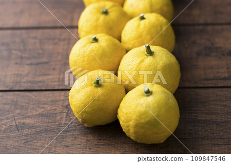 Yuzu arranged in a row 109847546