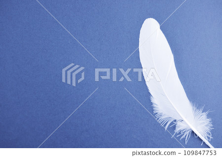 藍色的紙和白色的羽毛 109847753