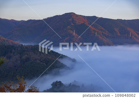 從京都笠置山看到的雲海 從京都笠置山看到的雲海 109848002