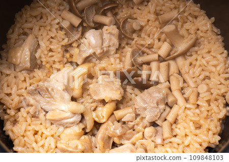 Rice with freshly cooked chicken and mushrooms 109848103