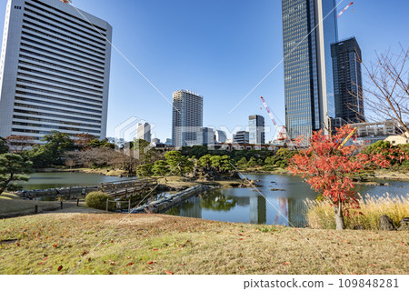 舊芝離宮恩賜庭園的早晨 舊芝離宮恩賜庭園的早晨 109848281