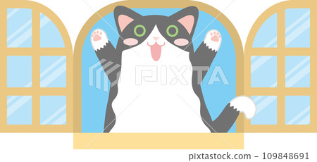 貓和窗戶_窗戶和貓_黑白八件燕尾服貓在窗戶裡快樂地玩耍 109848691