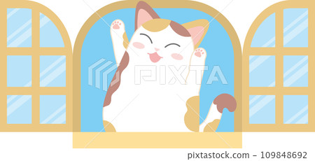 Cat and window_Window and cat_Calico cat playing in the window 109848692