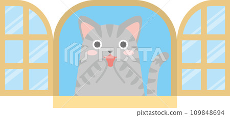 Cat and window_Window and cat_Mackerel cat looks happy with his hand on his mouth inside the window Cat and window_Window and cat_Mackerel cat looks happy with his hand on his mouth inside the window 109848694