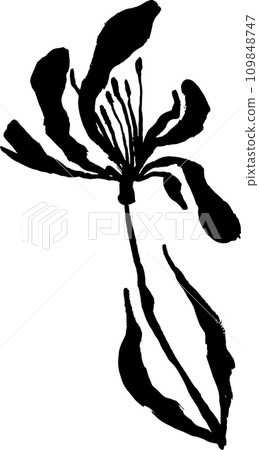 Hand Drawn Brush Ink Grunge Iris Flower 109848747