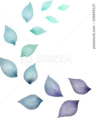 Leaf Watercolor Isolated Leaf Watercolor Isolated 109849125