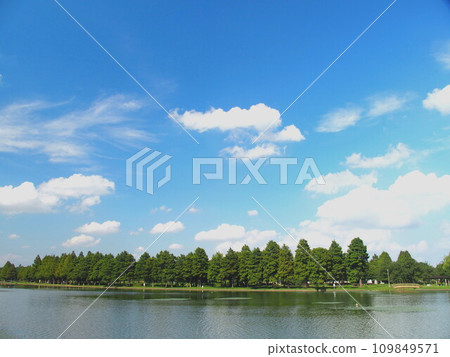 從東京水本公園看初秋的美里公園風景與水杉林 從東京水本公園看初秋的美里公園風景與水杉林 109849571