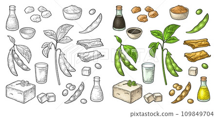 Soy food set. Miso, tofu skin, soybean, sauce 109849704