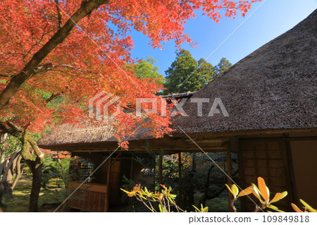 Autumn scenery of Saga Kunen-an with beautifully colored autumn leaves decorating the thatched roof Autumn scenery of Saga Kunen-an with beautifully colored autumn leaves decorating the thatched roof 109849818