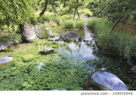 Japanese garden at Toyama Castle Ruins Park, Toyama Japanese garden at Toyama Castle Ruins Park, Toyama 109850048