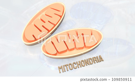 The Mitochondria for sci or health concept 3d rendering. 109850911