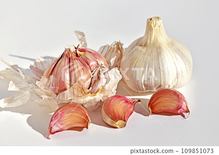 Purple garlic Purple garlic 109851073