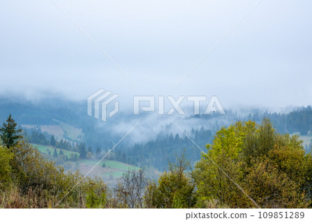 Very Thick Fog over the Forested Carpathians Mountains Very Thick Fog over the Forested Carpathians Mountains 109851289